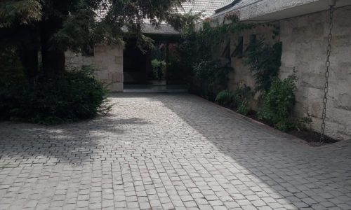 DOMINICOS 8
