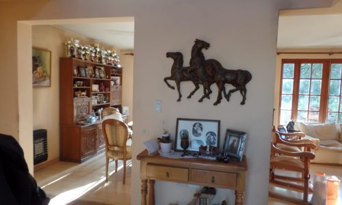 IMG-20250515-WA0086