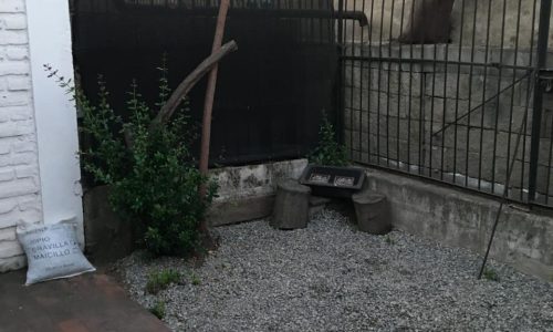 IMG-20251108-WA0005